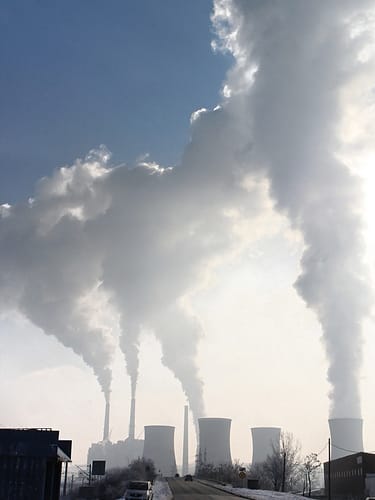 Coal