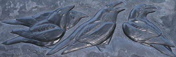 Ravens'