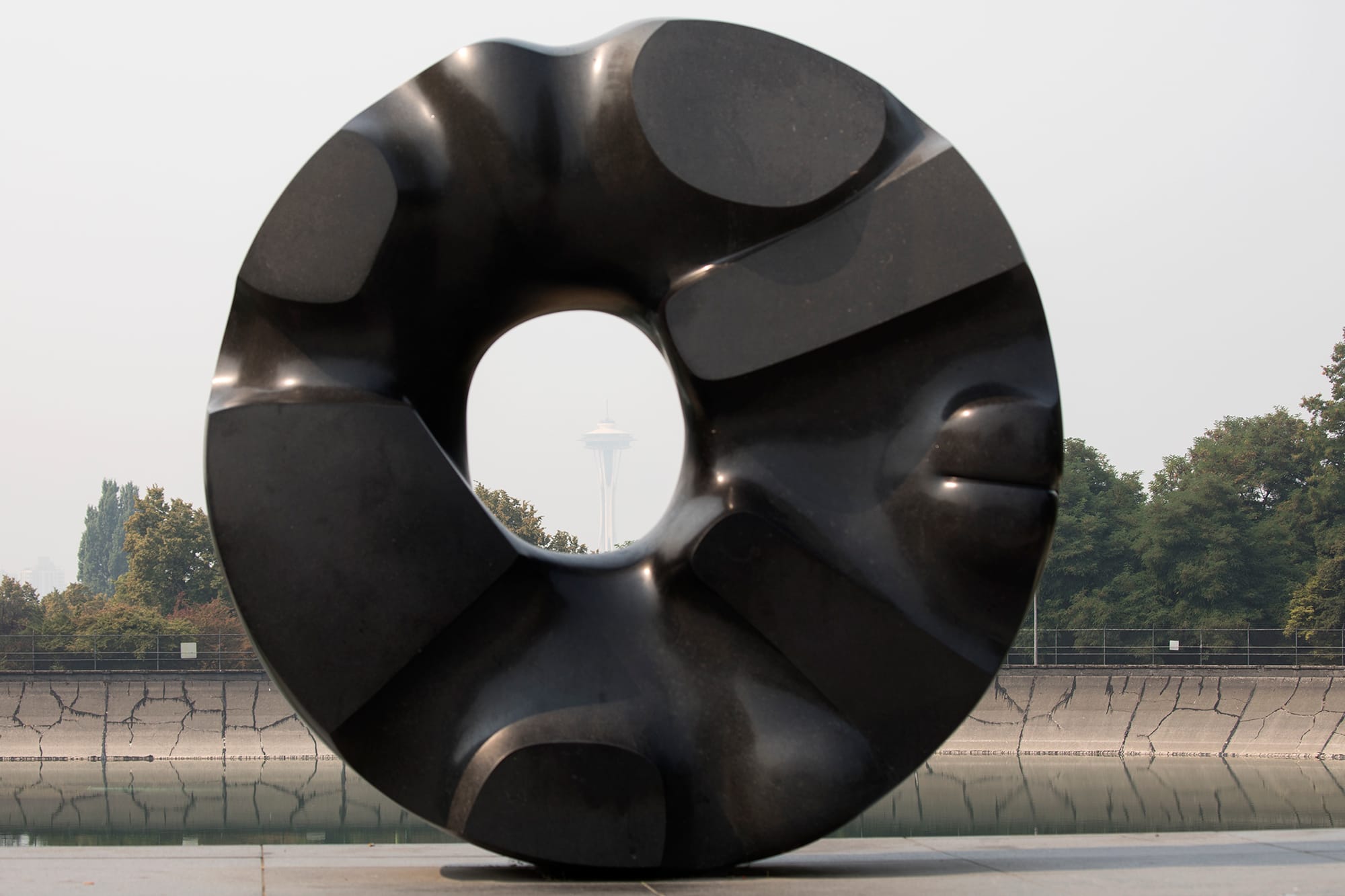 Black hole sun