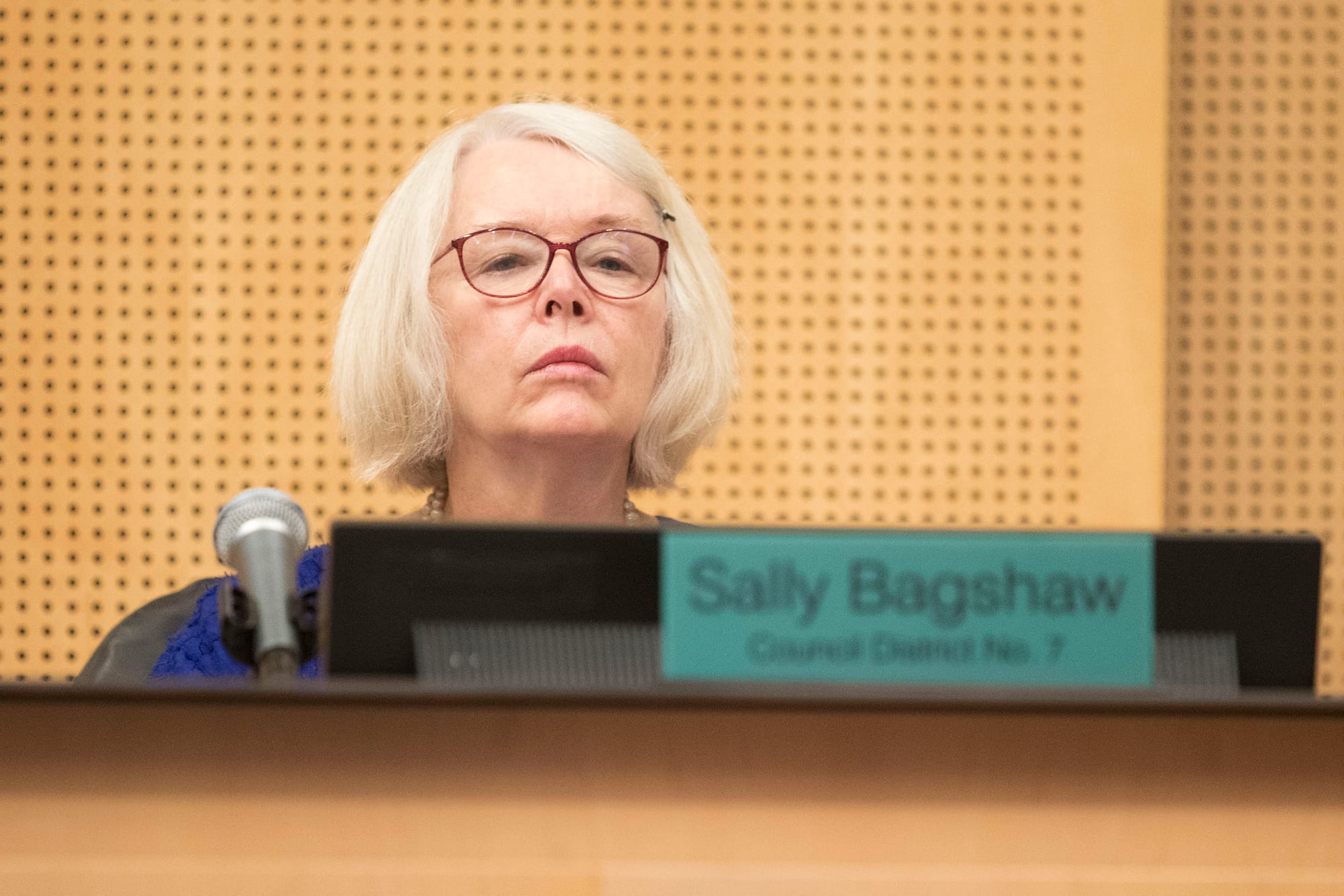 Council member Bagshaw at meeting