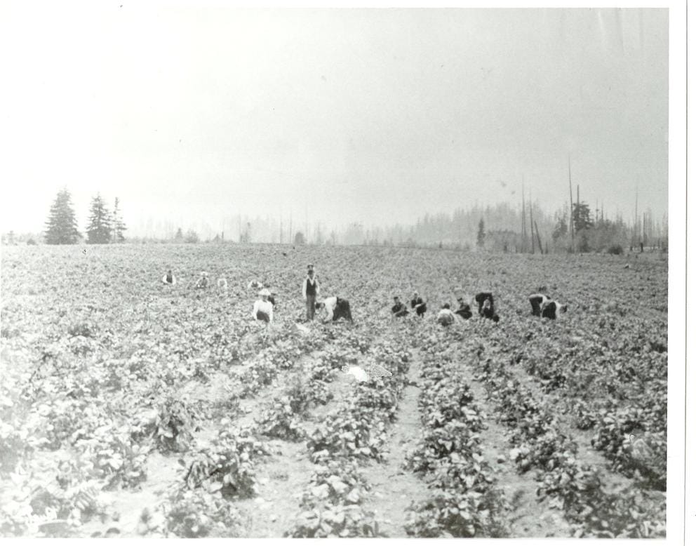 black and white photo of farmers in Bellevue.