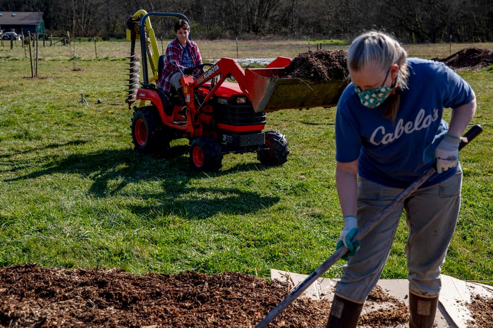 Sharon and Dianna Shankland work in their garden on their Stanwood farm on March 25. The wives are growing produce in the hopes of becoming as self sufficient as possible. They also raise chickens, turkeys and geese for their eggs. In response to COVID-19, they are also helping supply their family and friends with fresh foods. (Dorothy Edwards/Crosscut)