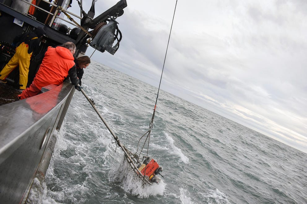 Researchers on a boat collecting acoustic monitoring moorings