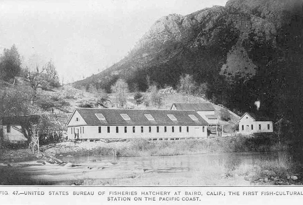 Historical photo of the Baird Station hatchery