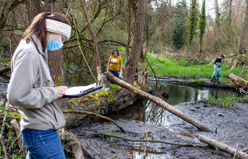 two women and a young boy explore a pond bisected by a downed tree