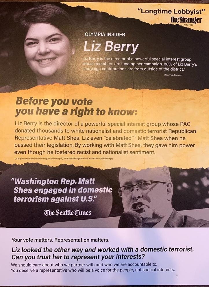 Mailer accusing Liz Berry of having 