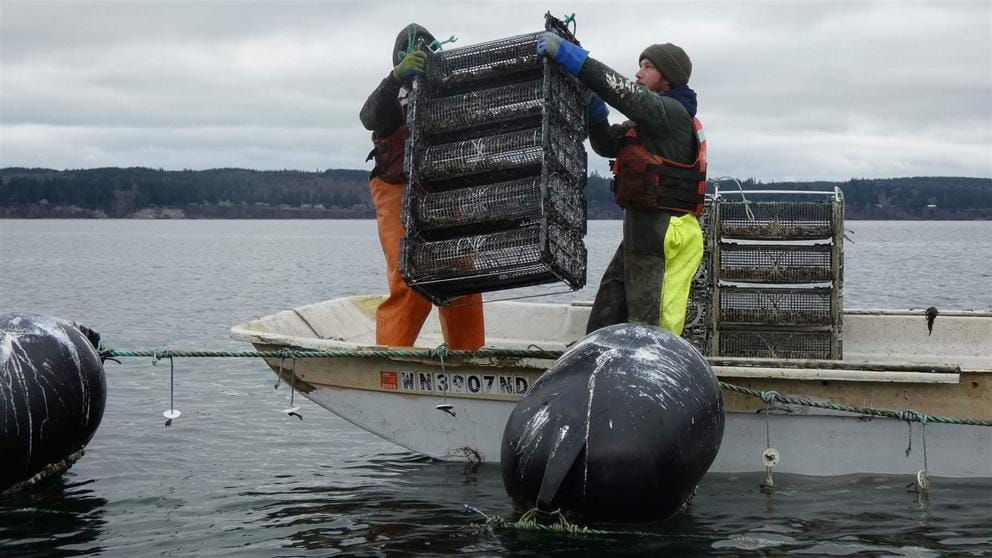 Two people on a boat lift a stack of plastic crates