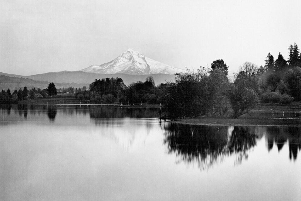 Columbia Slough