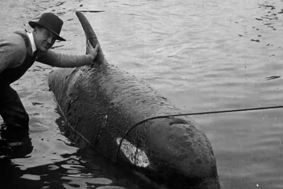 Ethelbert's body and in the Columbia Slough.