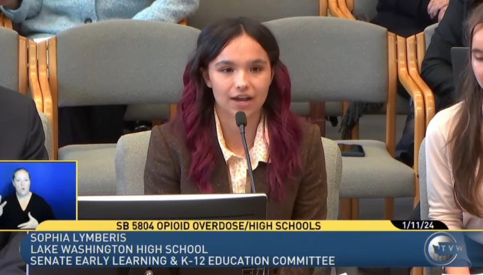 Sophia Lymberis testifies before the Legislature