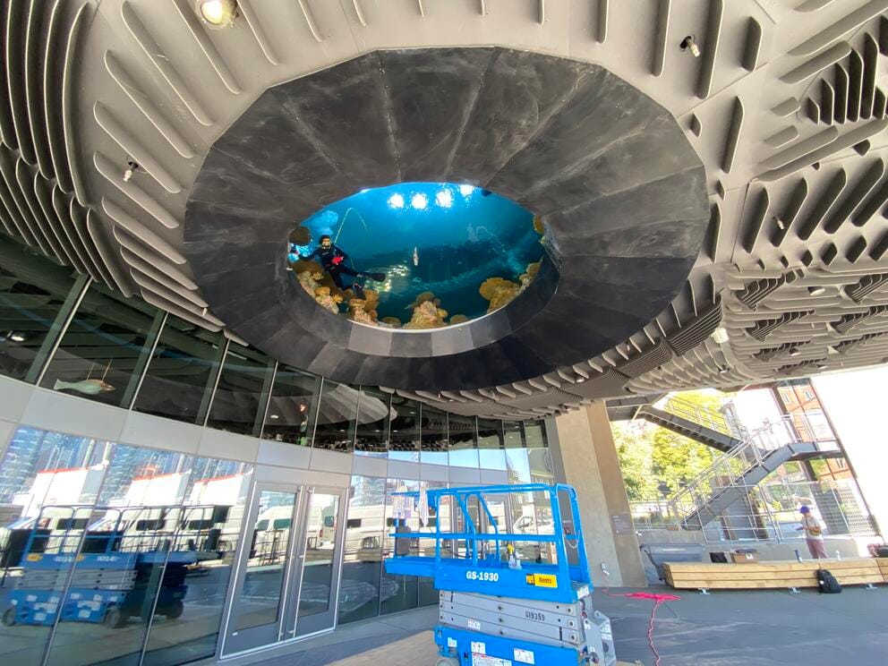 photo of an outdoor ceiling with a circular window at center, inside a scuba diver is visible