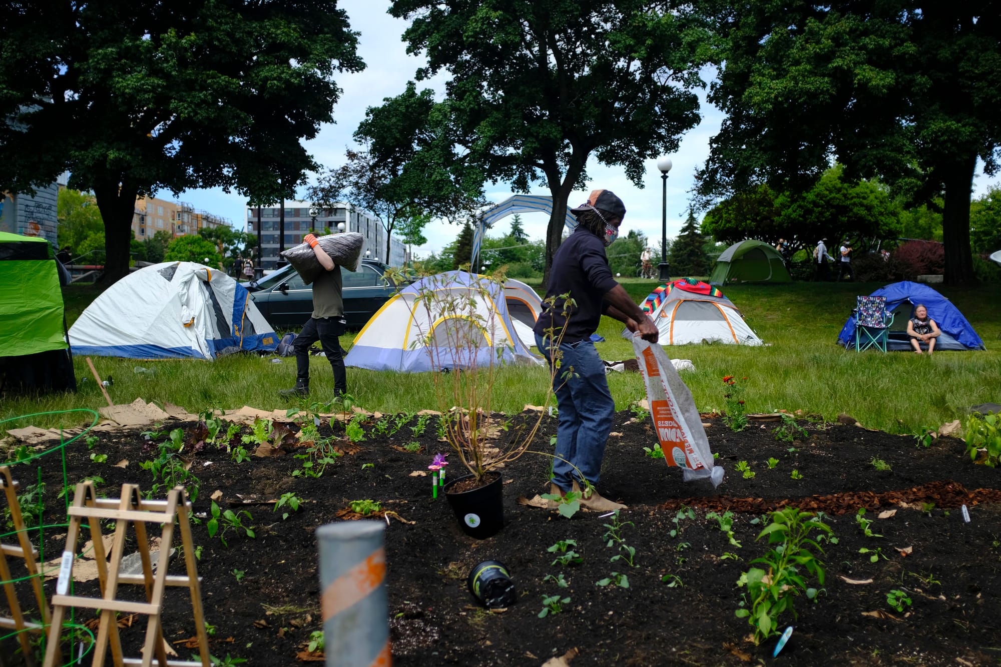 A person empties a bag of soil in a garden.