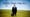 Farewell Doc Martin