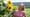 Love Eat Travel with Michelle Valentine