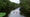 American River