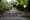 Seattle's got terrible sidewalks. You can help fix them.