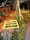 Feeding the food gardening trend