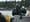Human skull found by geoduck diver near Bainbridge Island