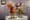 Jim Henson was more than a puppetmaster