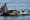 Brutal year sets back orca recovery