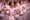 PNB School Show: Ballet from the ground up 