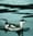 The case of the vanishing seabirds