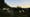 Say goodbye to the goats of the Olympic Mountains