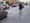Crosswalk carnage: Why do cops still ignore drivers who won't yield?