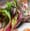 Winter eating: beyond kale sandwiches