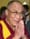 Bring on Lama-Palooza