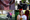 Share where you found love in Seattle for our interactive map