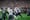 Snatched away: How one play beat the Seahawks in the Super Bowl