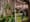 You might be responsible for a Seattle street tree and not know it