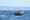 From Big Mama to Hy’Shqa, how Northwest whales get their names