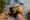 Amid heavy smoke, wildfire crews work without practical respirators