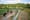 Small Axe Farm grows Seattle-area Black agricultural community